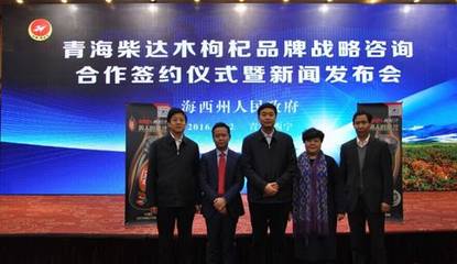 迎“健康中国”东风,青海枸杞启动品牌战略