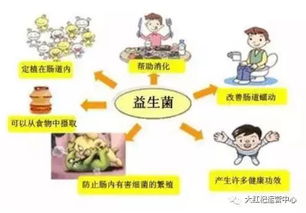 改善肠道卫生,健康咨询关于便秘